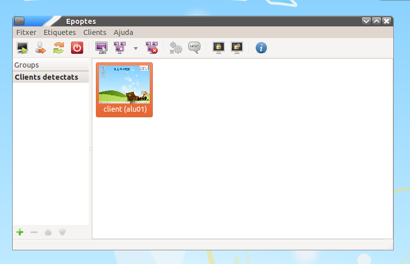 ../_images/epoptes-detect.png